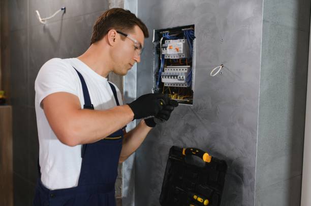 Best Affordable Electrician  in Chenoa, IL