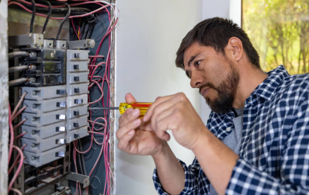 Best Electrical Troubleshooting Services  in Chenoa, IL